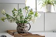 6 самых частых болезней комнатных растений и как их лечить