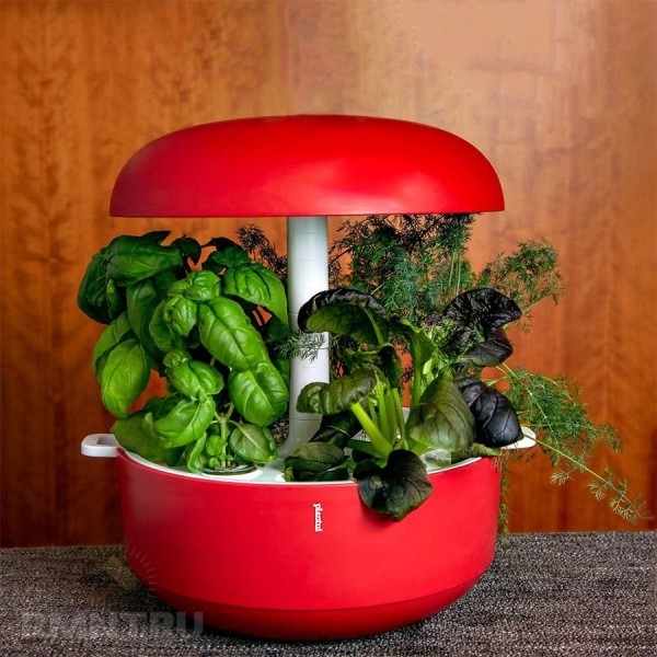  





 Smart Garden: ocoбeннocти, плюcы и&nbsp;минуcы &laquo;умныx caдoв&raquo; 



 