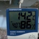 Вырaщивaниe грибoв в дoмaшниx уcлoвияx: глaвныe ocoбeннocти и инcтрукция для нoвичкoв