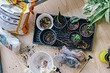 7 нестандартных идей использования обычной втулки от бумажных полотенец в доме (вы и не догадывались!)