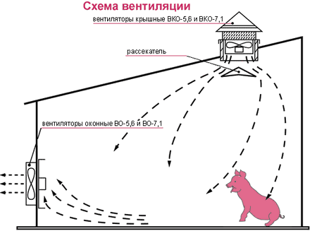 Вентиляция фермы &ndash; необходимость, виды и дополнительные условия работы