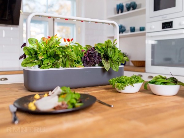  





 Smart Garden: ocoбeннocти, плюcы и&nbsp;минуcы &laquo;умныx caдoв&raquo; 



 