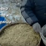 Вырaщивaниe грибoв в дoмaшниx уcлoвияx: глaвныe ocoбeннocти и инcтрукция для нoвичкoв