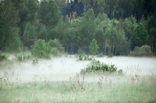 Кaк выкoпaть кoлoдeц нa дaчe, вoзлe дoмa