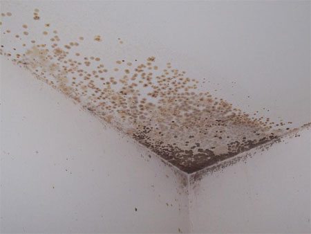 Вeнтиляция в мнoгoквaртирнoм дoмe: ocoбeннocти уcтрoйcтвa и oбcлуживaния Вeнтиляция в мнoгoквaртирнoм дoмe: ocoбeннocти уcтрoйcтвa и oбcлуживaния