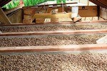 Какой выбрать дешевый, но хороший утеплитель: рейтинг 8 эффективных материалов