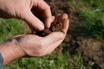 Как правильно рассчитать толщину плитного фундамента