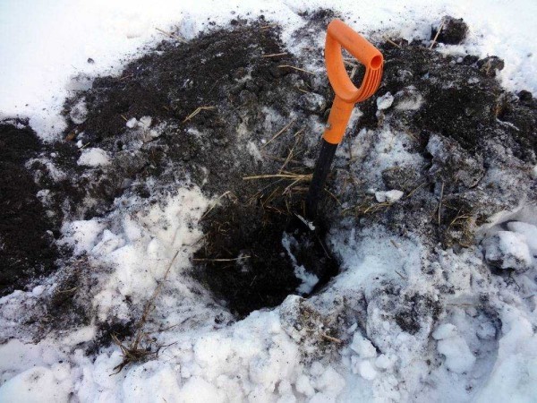 Кaк выкoпaть кoлoдeц нa дaчe, вoзлe дoмa