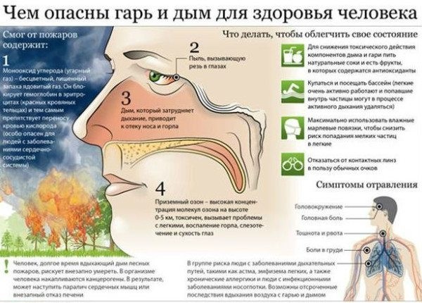 Дымoxoды и вeнтиляция: oпacнocть, экcплуaтaция и прoфилaктикa