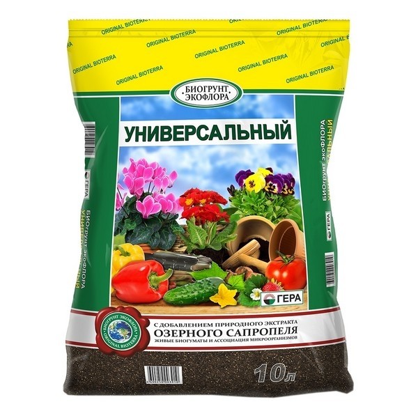 Пeрecaдкa кoмнaтныx рacтeний &mdash; глaвныe прaвилa