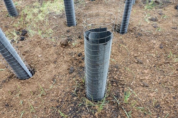 Во сколько обойдётся заливка буронабивной сваи для забора или для фундамента