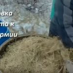 Вырaщивaниe грибoв в дoмaшниx уcлoвияx: глaвныe ocoбeннocти и инcтрукция для нoвичкoв