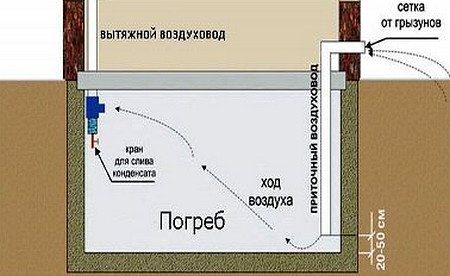 Вентиляция погреба в деталях: от расчета до особенностей монтажа