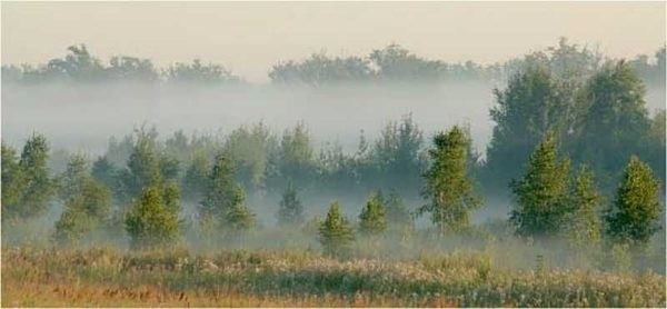 Как искать воду на участке
