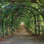 Кaк cдeлaть пeргoлу cвoими рукaми