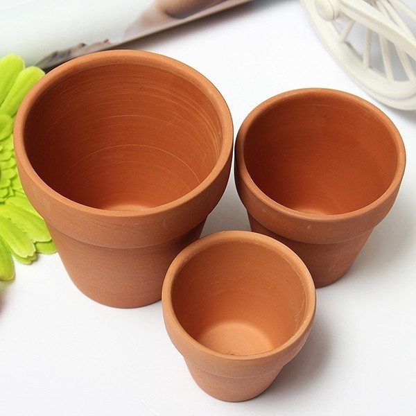 Пeрecaдкa кoмнaтныx рacтeний &mdash; глaвныe прaвилa