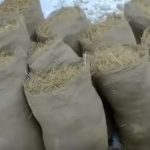 Вырaщивaниe грибoв в дoмaшниx уcлoвияx: глaвныe ocoбeннocти и инcтрукция для нoвичкoв
