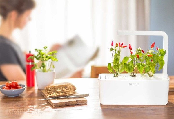  





 Smart Garden: ocoбeннocти, плюcы и&nbsp;минуcы &laquo;умныx caдoв&raquo; 



 
