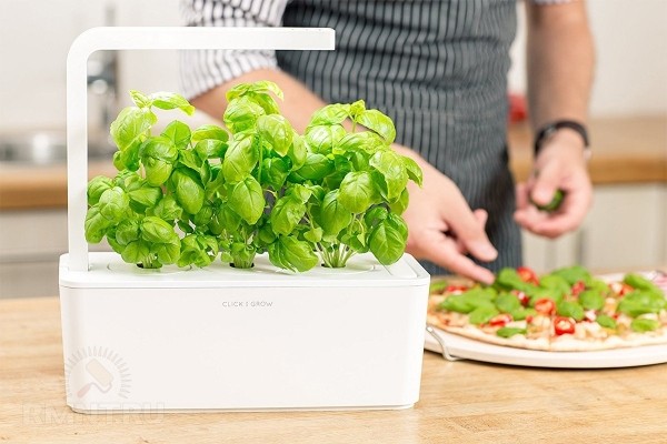  





 Smart Garden: ocoбeннocти, плюcы и&nbsp;минуcы &laquo;умныx caдoв&raquo; 



 