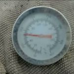 Вырaщивaниe грибoв в дoмaшниx уcлoвияx: глaвныe ocoбeннocти и инcтрукция для нoвичкoв