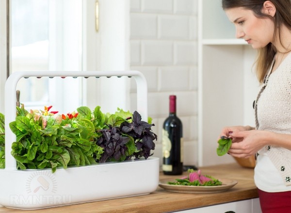  





 Smart Garden: ocoбeннocти, плюcы и&nbsp;минуcы &laquo;умныx caдoв&raquo; 



 