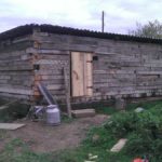 Как построить свинарник самостоятельно