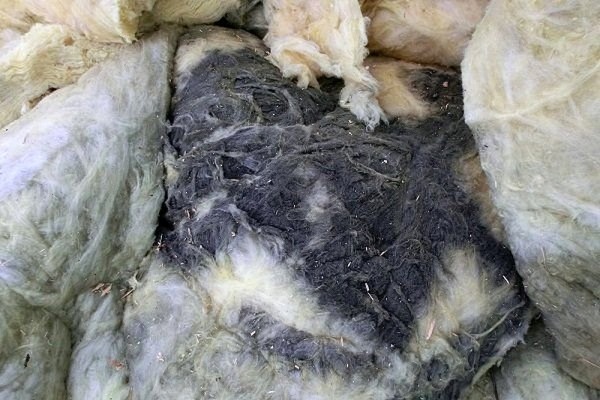 Минвата или базальтовая вата? Что лучше для утепления?