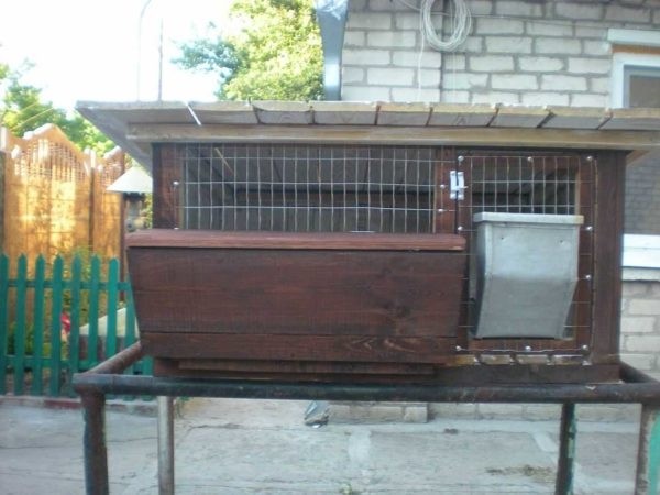 Как сделать крольчатник