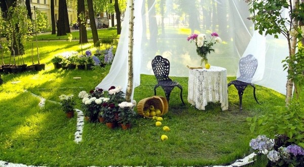 С чего начать дизайн участка: 7 важных шагов к саду мечты С чего начать дизайн участка: 7 важных шагов к саду мечты