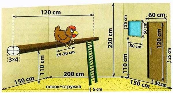 Как построить птичник на 10-20 кур своими руками Как построить птичник на 10-20 кур своими руками
