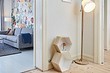 5 красивых интерьерных приемов, от которых одни неудобства