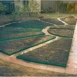 Декоративный огород: делаем красивые грядки &mdash; 60 фото