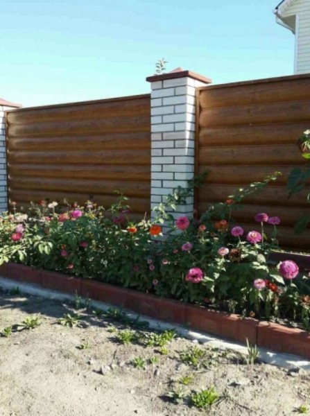 Что лучше посадить вдоль забора на участке? Что лучше посадить вдоль забора на участке?
