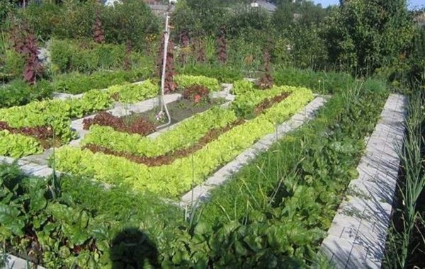 Огород для ленивых и умных: как сделать удобные и урожайные грядки