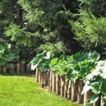 Как сделать клумбу или цветник Как сделать клумбу или цветник