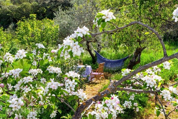 Гамаки, в которых вам захочется провести всё лето
Гамаки, в которых вам захочется провести всё лето