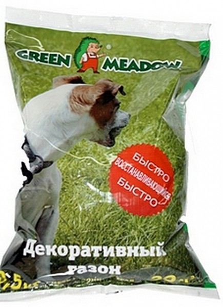 Как выбрать газонную траву для дачи &mdash; ТОП-5 лучших и рекомендации по выбору