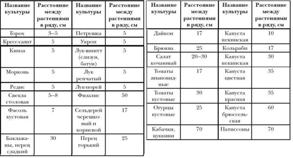 Огород для ленивых и умных: как сделать удобные и урожайные грядки