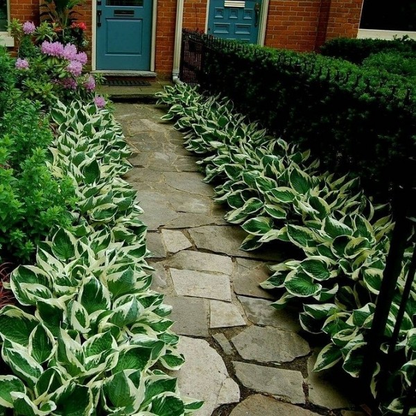 Как оформить клумбы с хвойниками и цветами
