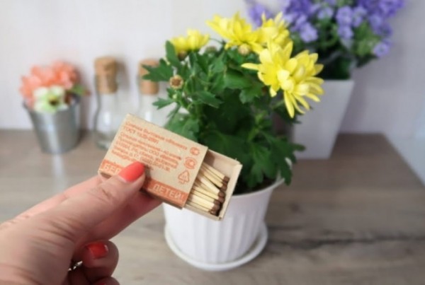 Как быстро и эффективно избавиться от мошек на кухне? Как быстро и эффективно избавиться от мошек на кухне?