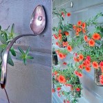 Как сделать клумбу или цветник Как сделать клумбу или цветник