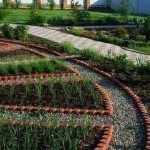Декоративный огород: делаем красивые грядки &mdash; 60 фото
