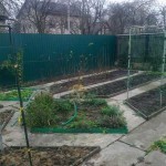 Декоративный огород: делаем красивые грядки &mdash; 60 фото