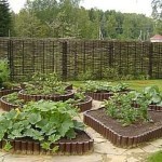 Декоративный огород: делаем красивые грядки &mdash; 60 фото