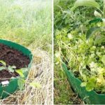 Садовая бордюрная лента для грядок, газонов, клумб