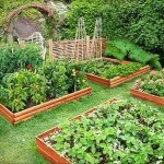 Декоративный огород: делаем красивые грядки &mdash; 60 фото
