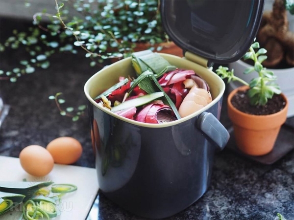 Выбираем компостер для кухни
Выбираем компостер для кухни