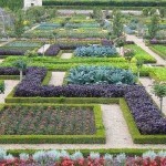 Декоративный огород: делаем красивые грядки &mdash; 60 фото