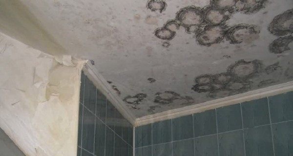 Запах канализации в квартире: определение причины и способы устранения