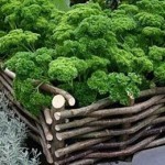 Декоративный огород: делаем красивые грядки &mdash; 60 фото